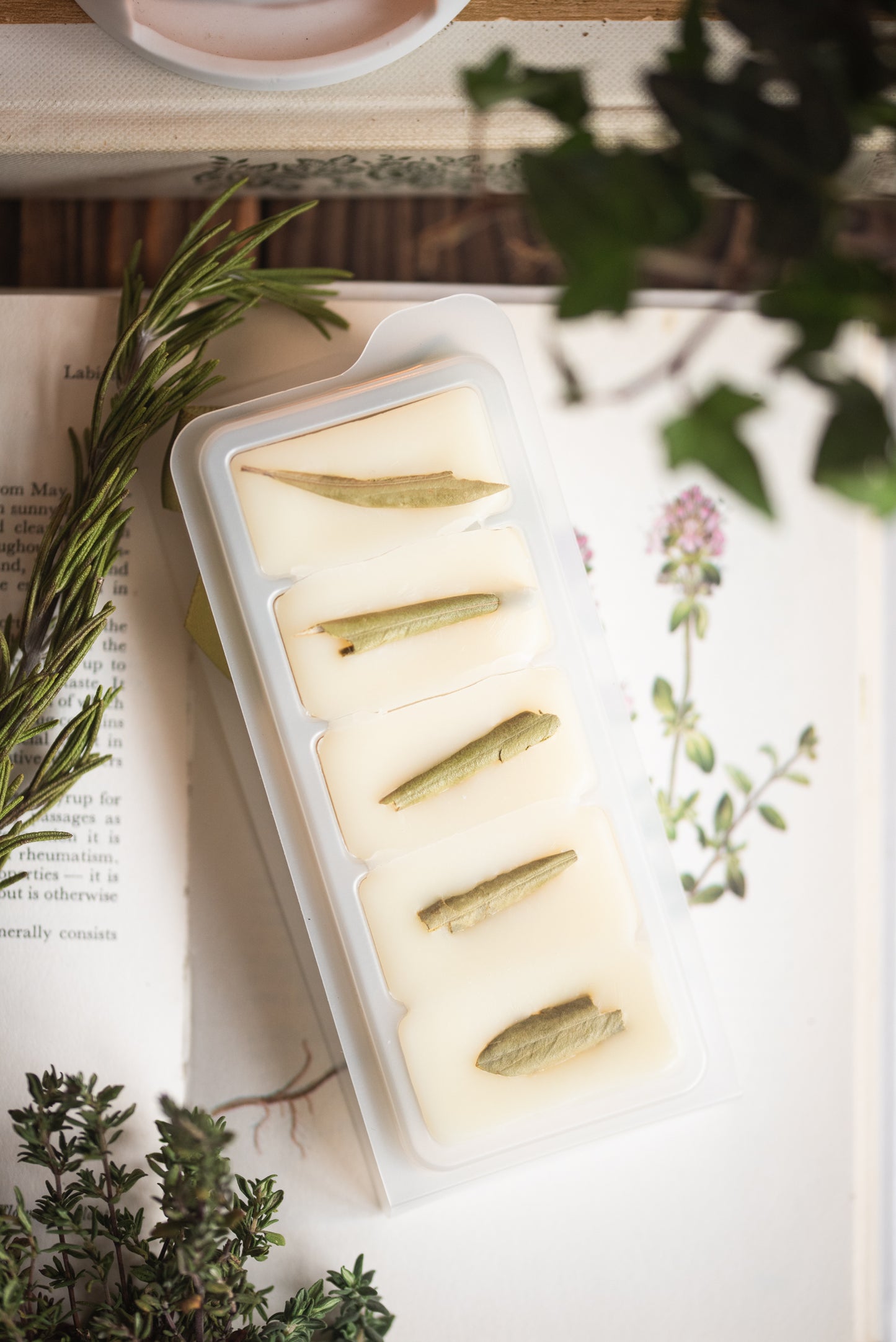 Sunlit Herbs