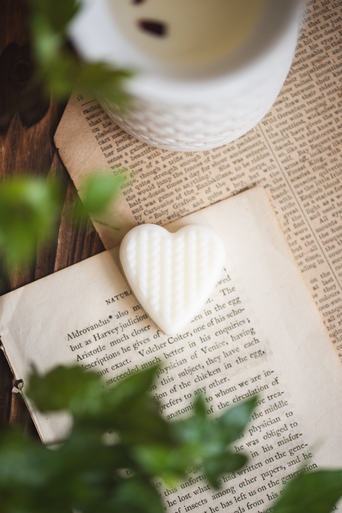 Heart-shaped sample wax melt with knitted pattern on an open book with a wax burner in the background