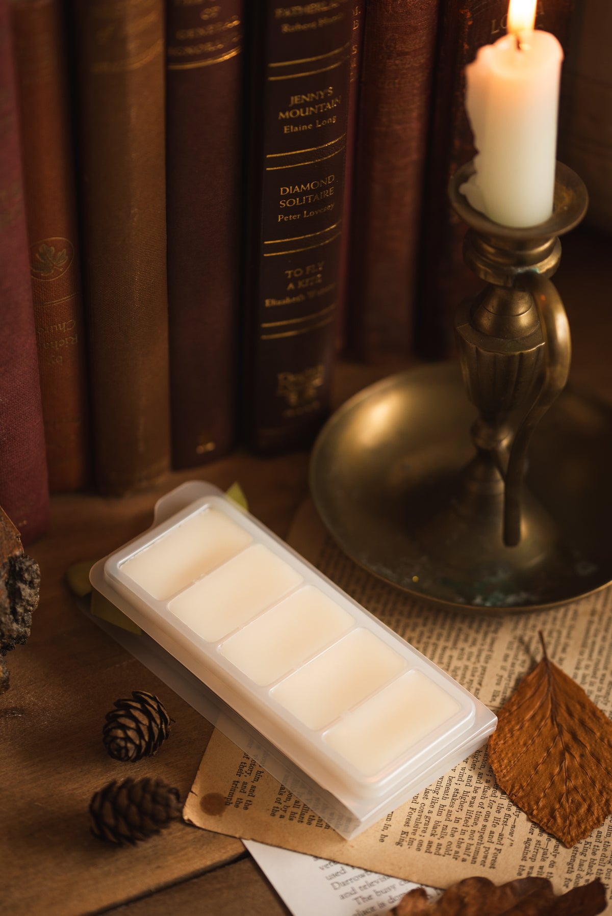 The Fireside Room Wax Melt